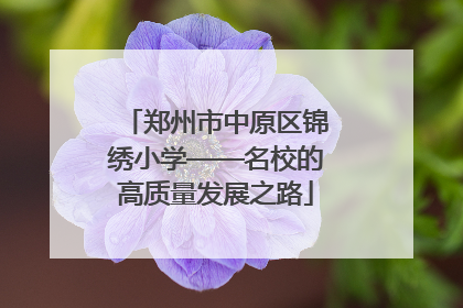 郑州市中原区锦绣小学——名校的高质量发展之路
