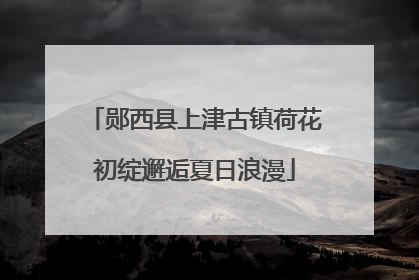 郧西县上津古镇荷花初绽邂逅夏日浪漫