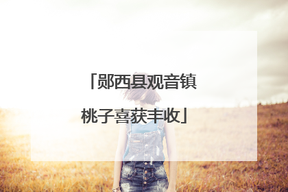 郧西县观音镇桃子喜获丰收