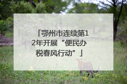 鄂州市连续第12年开展“便民办税春风行动”