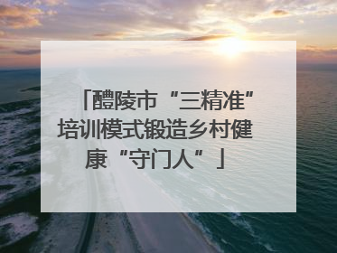 醴陵市“三精准”培训模式锻造乡村健康“守门人”