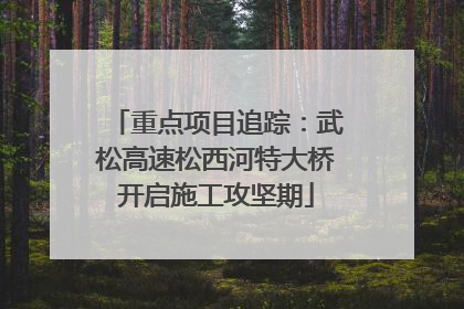 重点项目追踪：武松高速松西河特大桥开启施工攻坚期