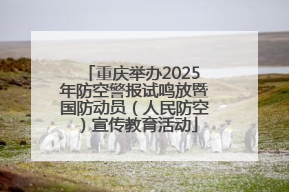 重庆举办2025年防空警报试鸣放暨国防动员（人民防空）宣传教育活动