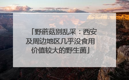 野蘑菇别乱采：西安及周边地区几乎没食用价值较大的野生菌