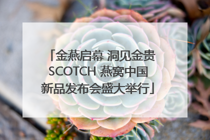 金燕启幕 洞见金贵 SCOTCH 燕窝中国新品发布会盛大举行