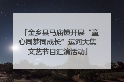 金乡县马庙镇开展“童心同梦同成长”运河大集文艺节目汇演活动
