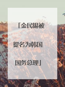金民锡被提名为韩国国务总理