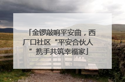 金锣敲响平安曲，西厂口社区“平安合伙人”携手共筑幸福家
