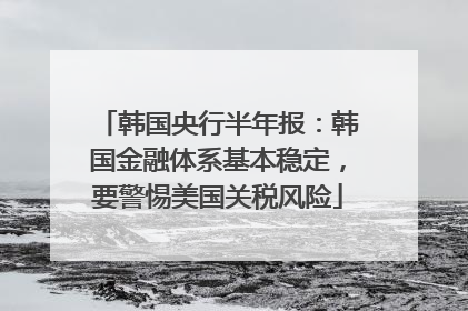 韩国央行半年报：韩国金融体系基本稳定，要警惕美国关税风险