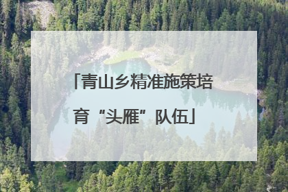 青山乡精准施策培育“头雁”队伍