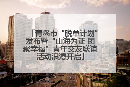 青岛市“脱单计划”发布暨“山海为证 团聚幸福”青年交友联谊活动浪漫开启
