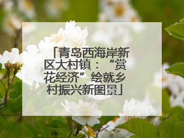 青岛西海岸新区大村镇：“赏花经济”绘就乡村振兴新图景