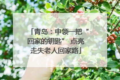 青岛：申领一把“回家的钥匙” 点亮走失老人回家路