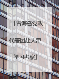 青海省党政代表团赴天津学习考察