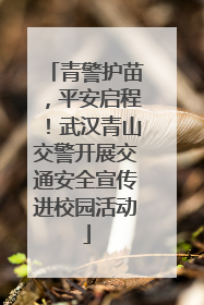 青警护苗，平安启程！武汉青山交警开展交通安全宣传进校园活动