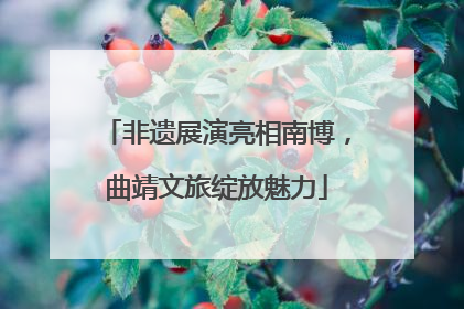 非遗展演亮相南博，曲靖文旅绽放魅力