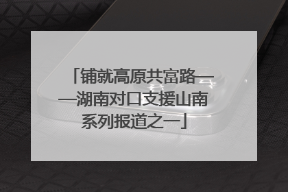 铺就高原共富路——湖南对口支援山南系列报道之一