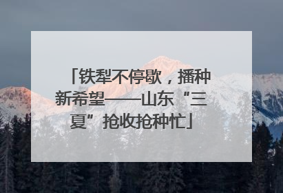 铁犁不停歇，播种新希望——山东“三夏”抢收抢种忙