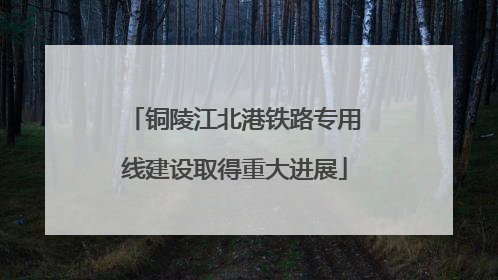 铜陵江北港铁路专用线建设取得重大进展