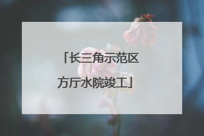 长三角示范区方厅水院竣工