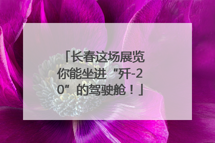 长春这场展览 你能坐进“歼-20”的驾驶舱！