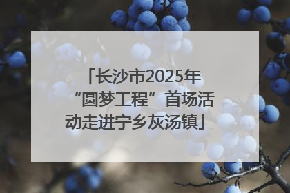 长沙市2025年“圆梦工程”首场活动走进宁乡灰汤镇