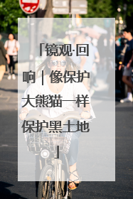 镜观·回响｜像保护大熊猫一样保护黑土地