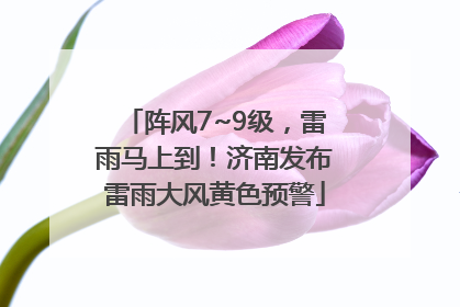 阵风7~9级，雷雨马上到！济南发布雷雨大风黄色预警