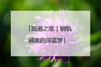 陆港之歌｜钢轨铺就的深蓝梦
