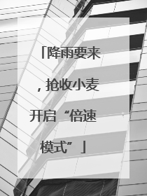 降雨要来，抢收小麦开启“倍速模式”