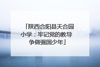 陕西合阳县天合园小学：牢记党的教导 争做强国少年
