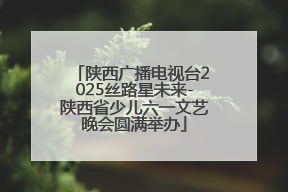 陕西广播电视台2025丝路星未来-陕西省少儿六一文艺晚会圆满举办