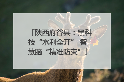 陕西府谷县：黑科技“水利全开” 智慧脑“精准防灾”