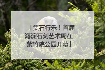 集石行乐！首届海淀石刻艺术周在紫竹院公园开幕