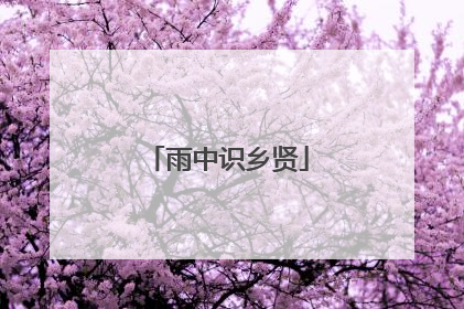 雨中识乡贤