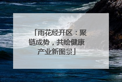 雨花经开区：聚链成势，共绘健康产业新图景
