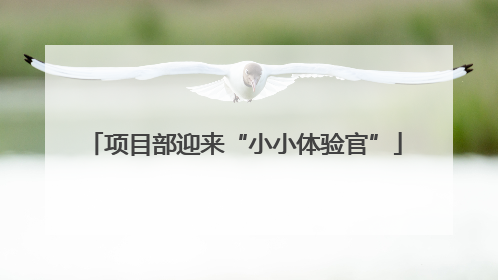 项目部迎来“小小体验官”