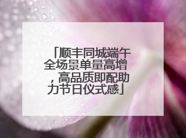 顺丰同城端午全场景单量高增，高品质即配助力节日仪式感