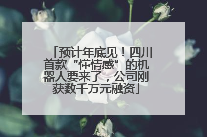 预计年底见！四川首款“懂情感”的机器人要来了，公司刚获数千万元融资