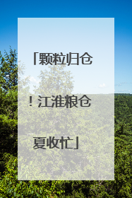 颗粒归仓！江淮粮仓夏收忙