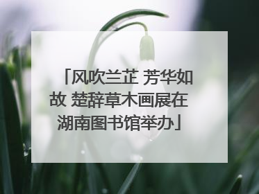 风吹兰芷 芳华如故 楚辞草木画展在湖南图书馆举办