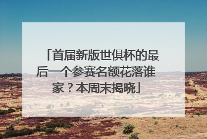 首届新版世俱杯的最后一个参赛名额花落谁家？本周末揭晓