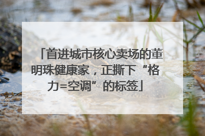 首进城市核心卖场的董明珠健康家，正撕下“格力=空调”的标签