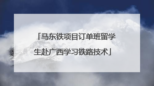 马东铁项目订单班留学生赴广西学习铁路技术