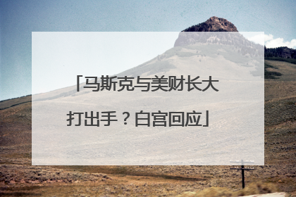 马斯克与美财长大打出手？白宫回应