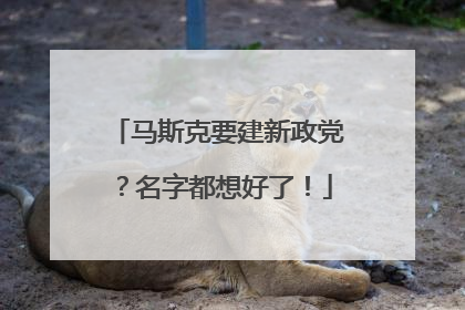 马斯克要建新政党？名字都想好了！