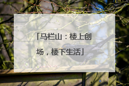 马栏山：楼上创场，楼下生活