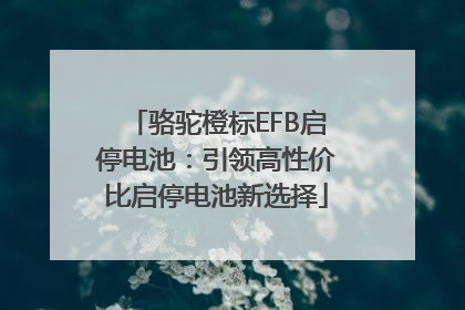 骆驼橙标EFB启停电池：引领高性价比启停电池新选择