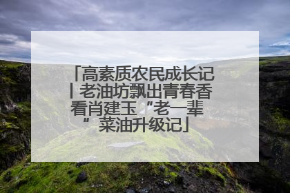 高素质农民成长记丨老油坊飘出青春香 看肖建玉“老一辈”菜油升级记