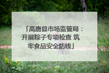 高唐县市场监管局：开展粽子专项检查 筑牢食品安全防线